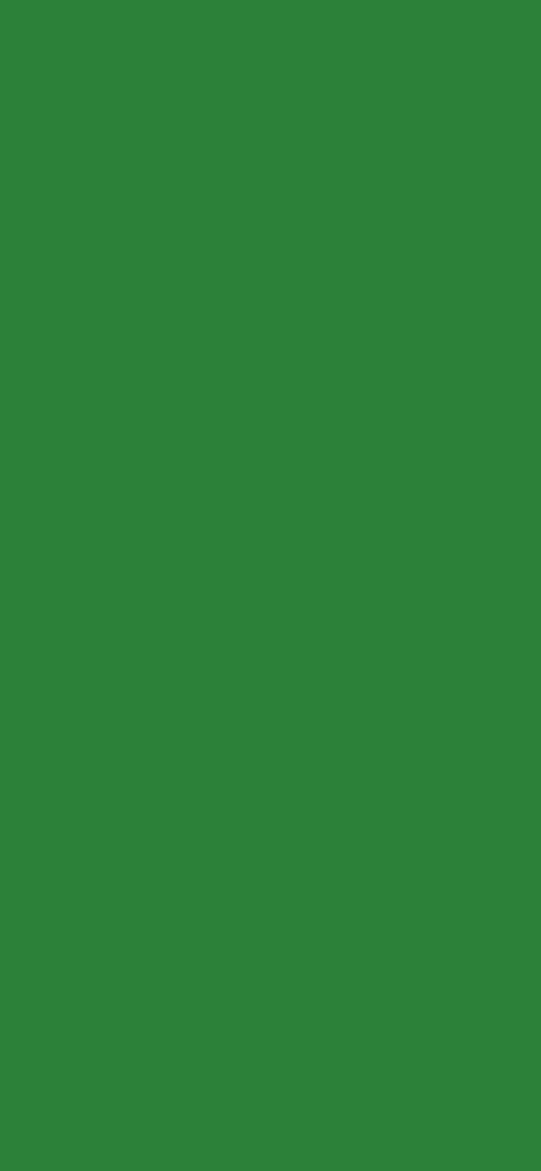 #2C8139 - Filmpro Emerald Green color image