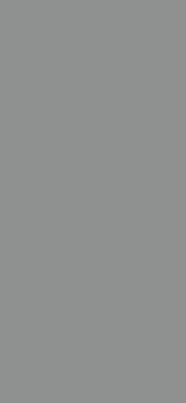 #8E918F - Gannet Grey color image