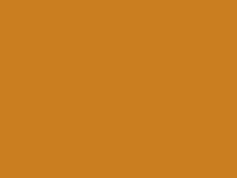 #CB7E1F - Gold Brown color image