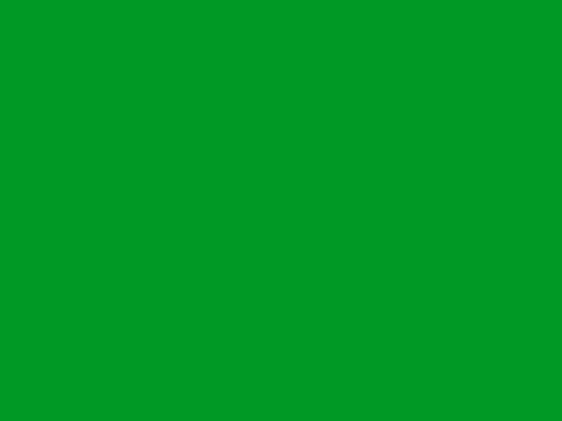 #009925 - Google Green color image