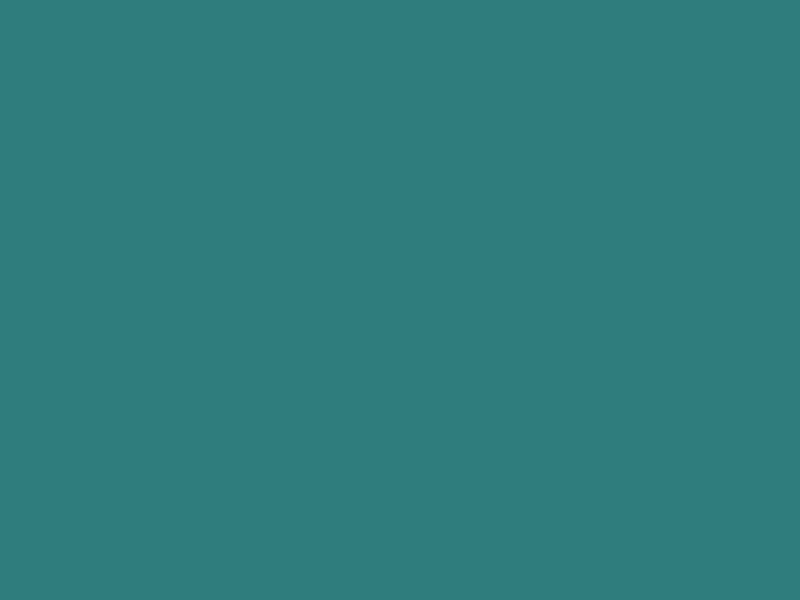 #307D7E - Greenish Blue color image