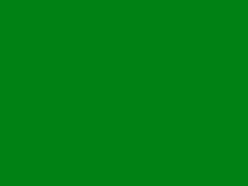 #008114 color image