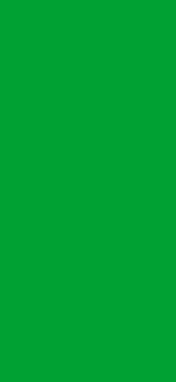 #00A133 color image