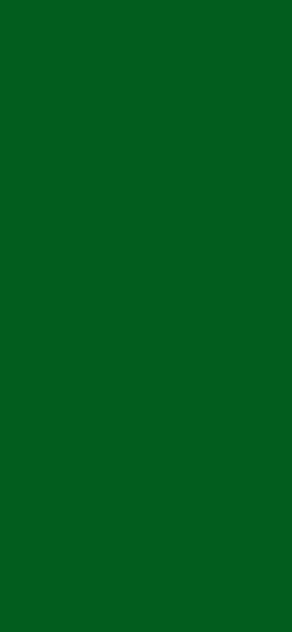 #025D1E color image