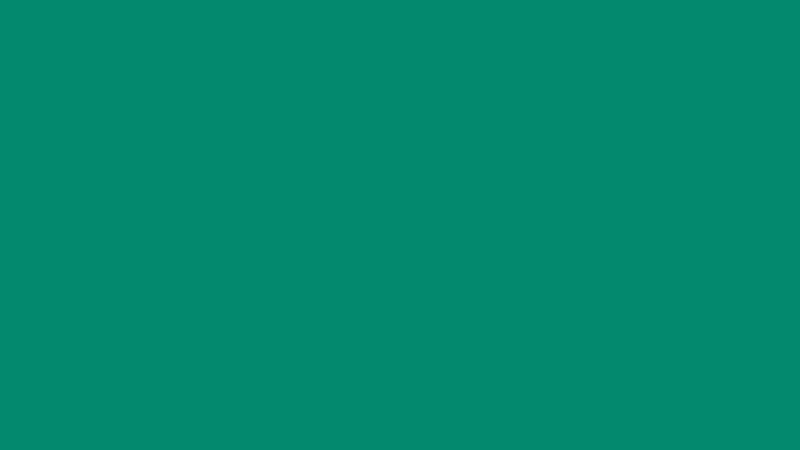 #028B6E color image
