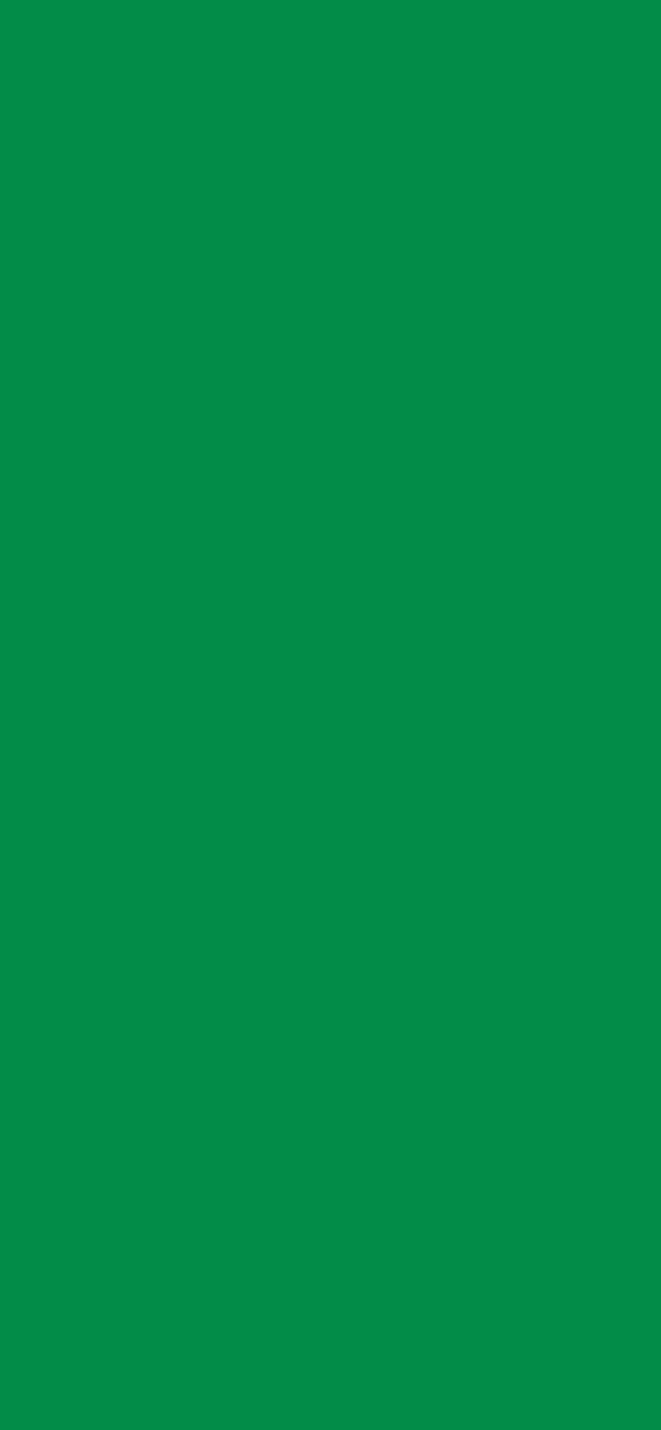 #028C48 color image
