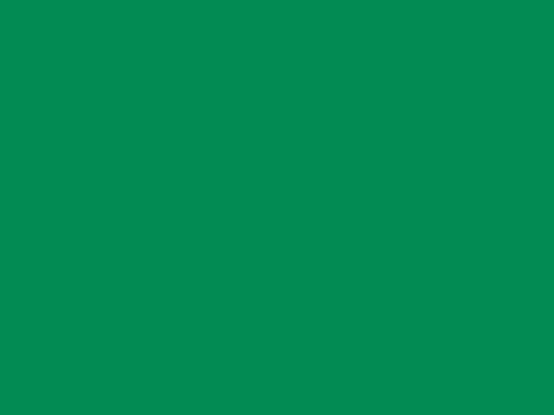 #028C53 color image