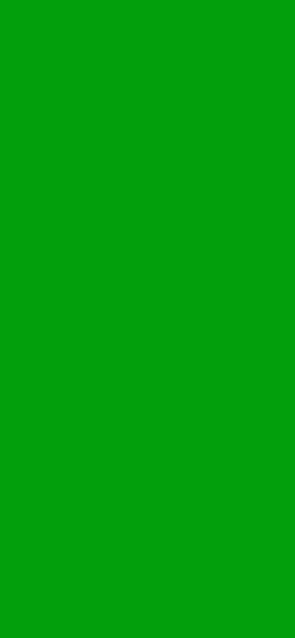 #029F0C color image