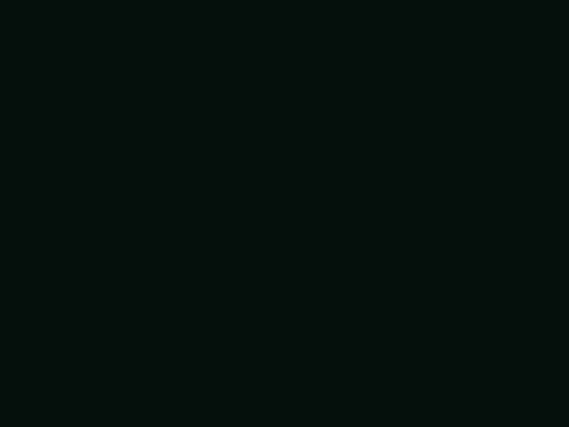 #03100B color image