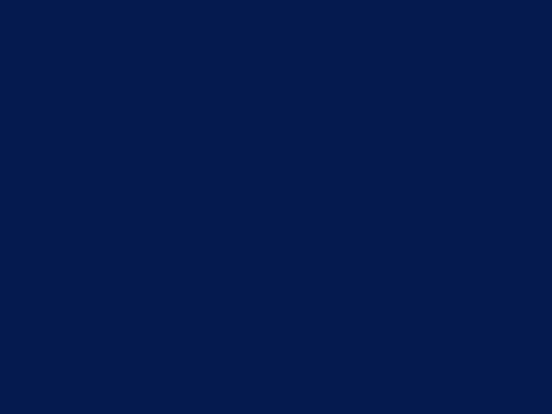#031B4E color image