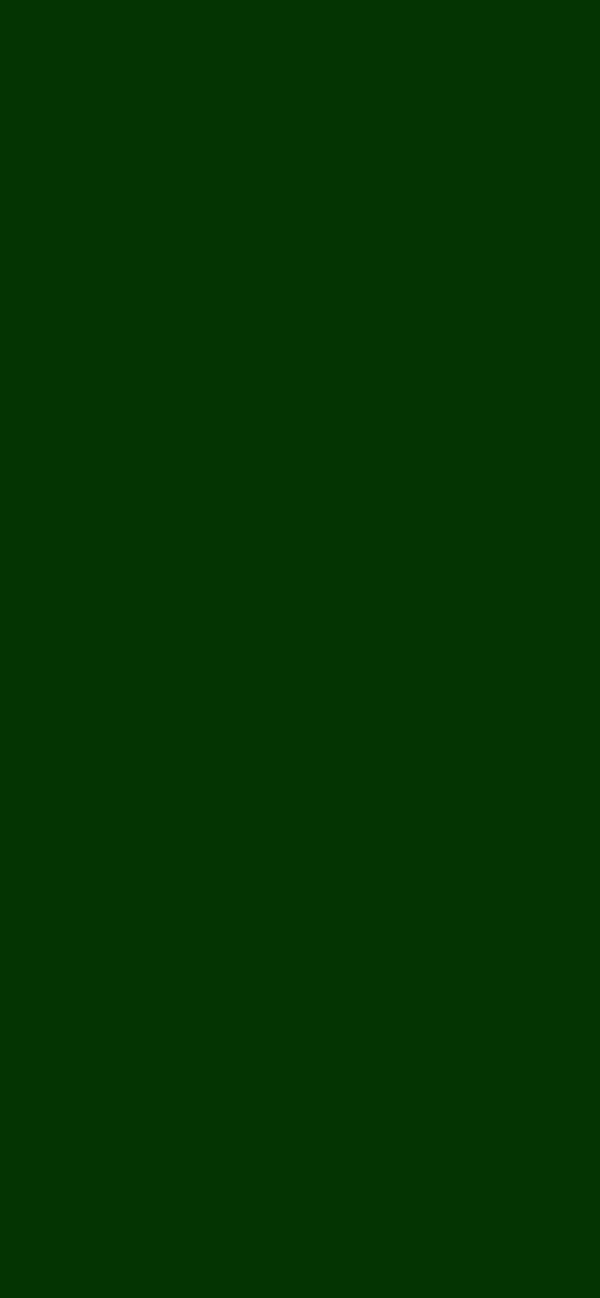 #033401 color image