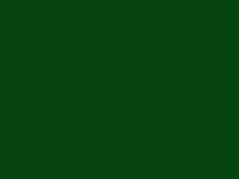 #03430D color image