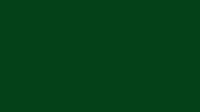 #044119 color image
