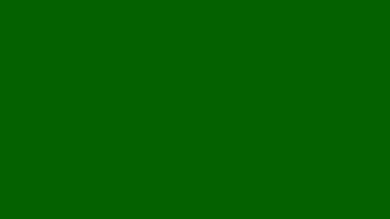 #046100 color image