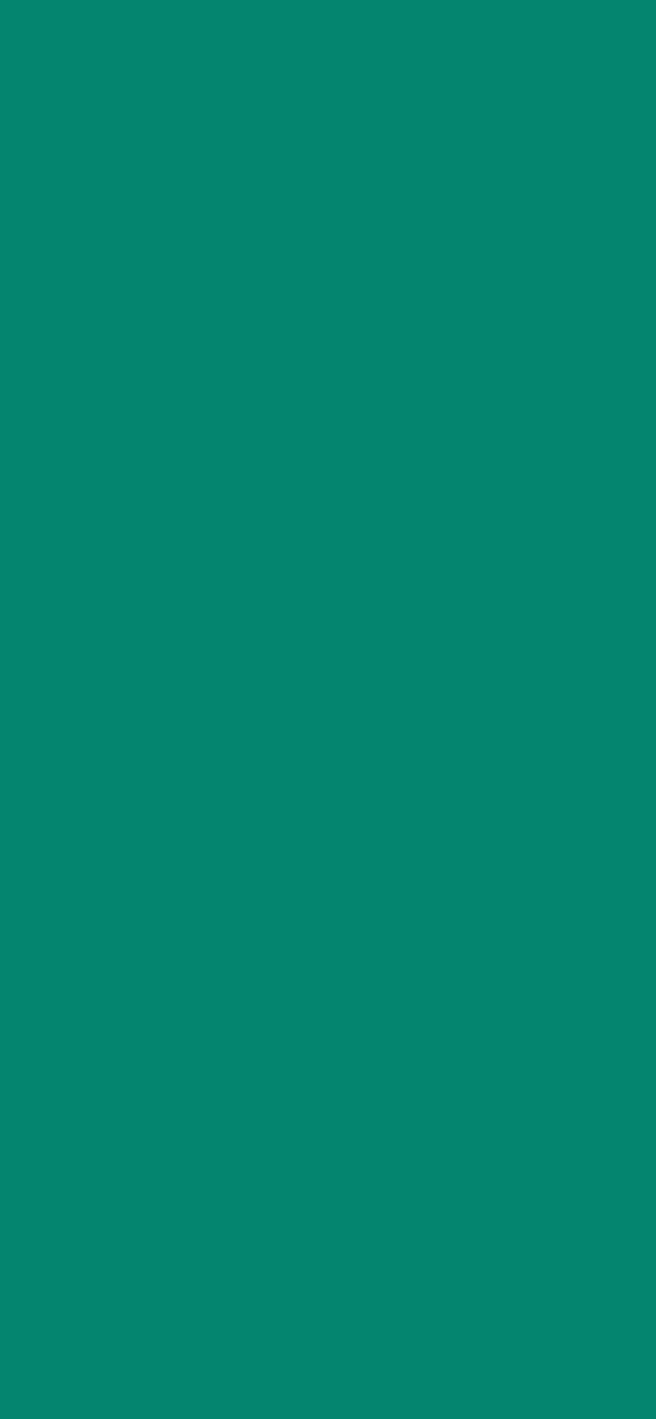 #04856F color image