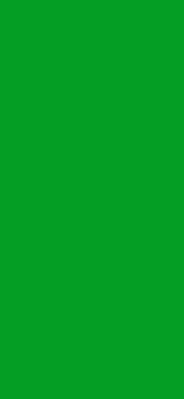 #049E24 color image