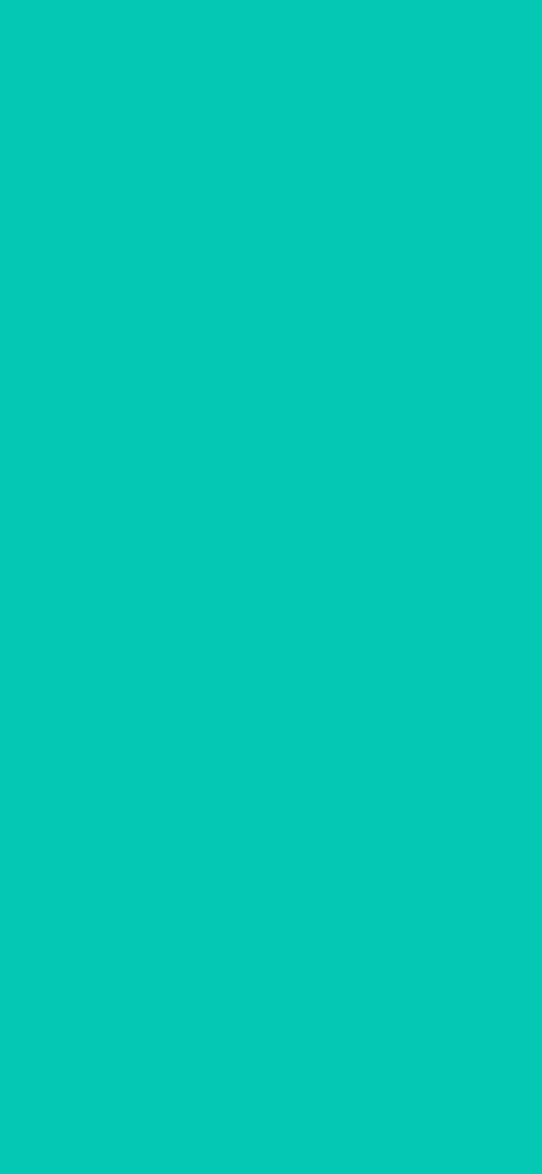 #04C8B1 color image