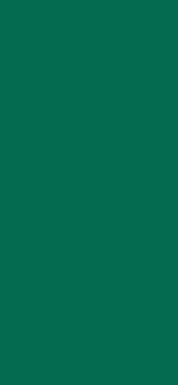 #056B50 color image