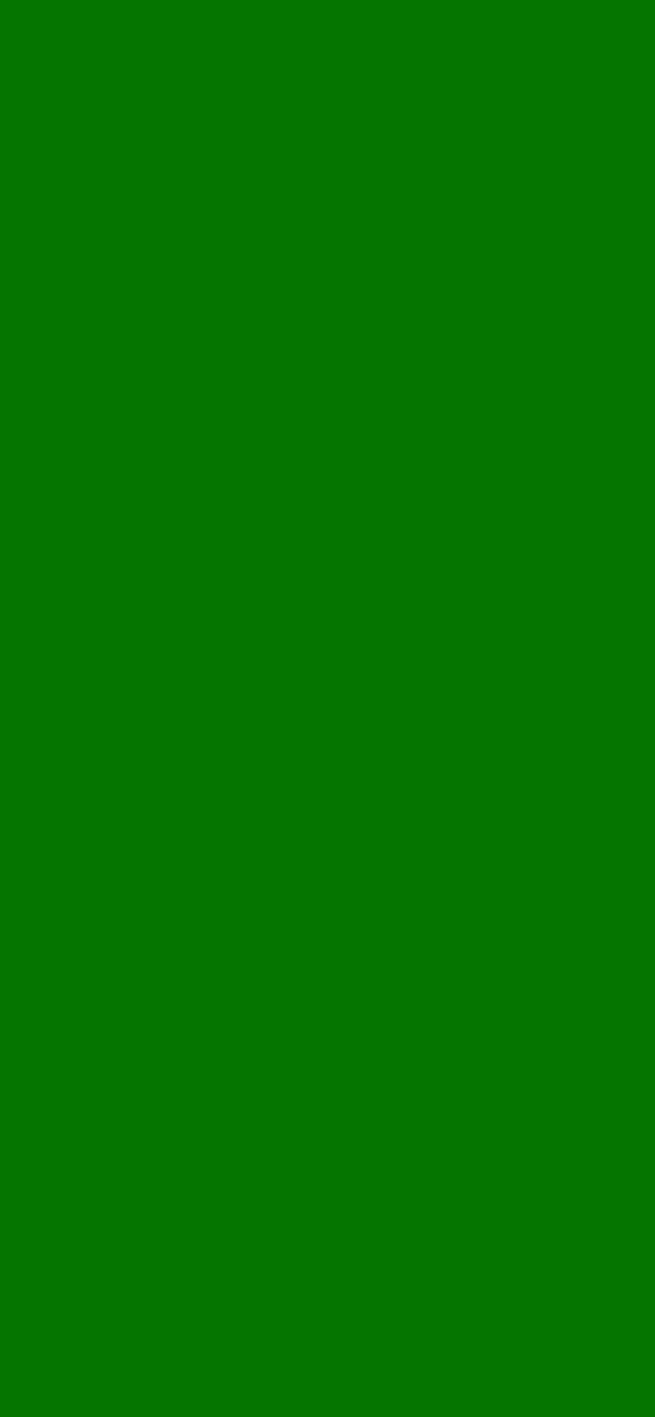 #057500 color image