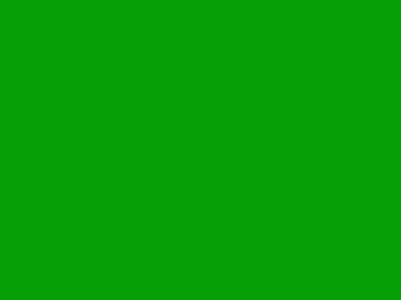 #069F06 color image