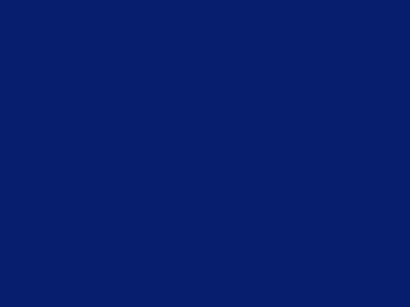 #071D6D color image