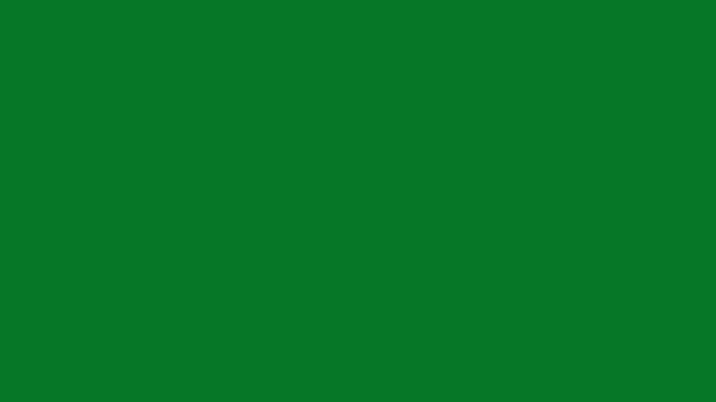 #077625 color image