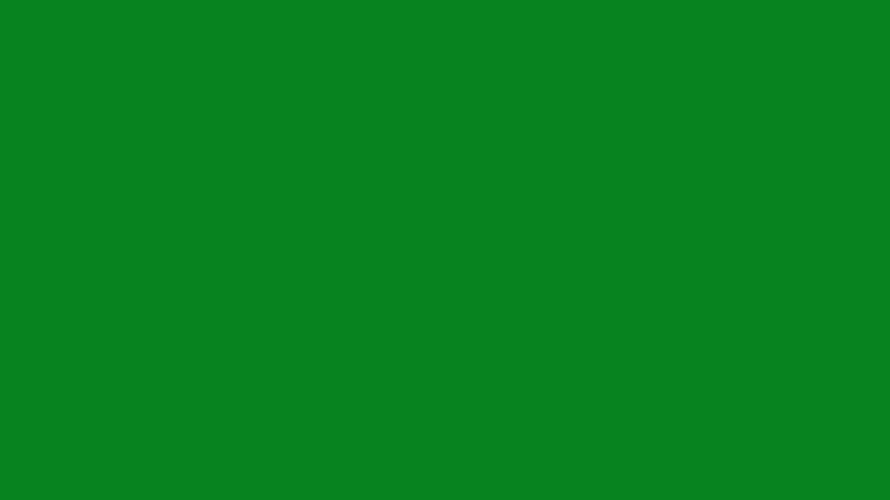 #07831F color image
