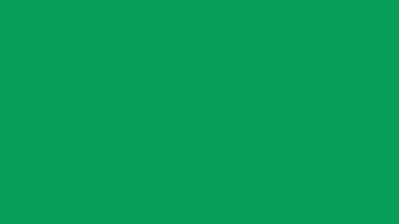 #079D59 color image