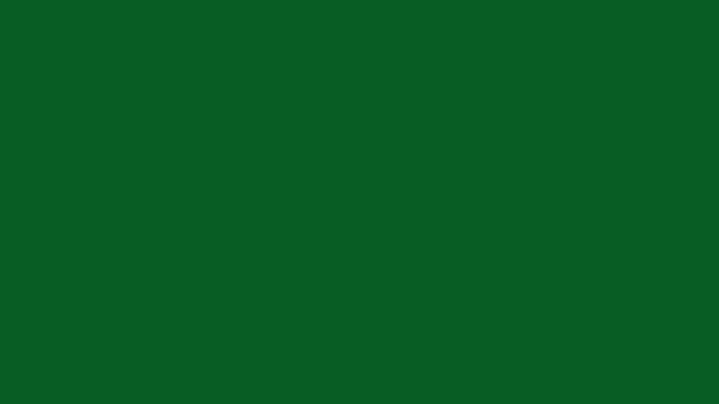 #085D24 color image