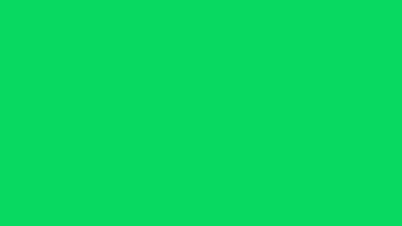 #08D961 color image