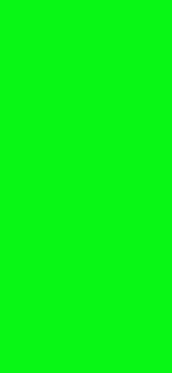 #08F715 color image