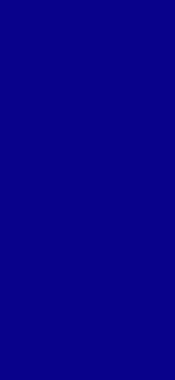 #09028B color image