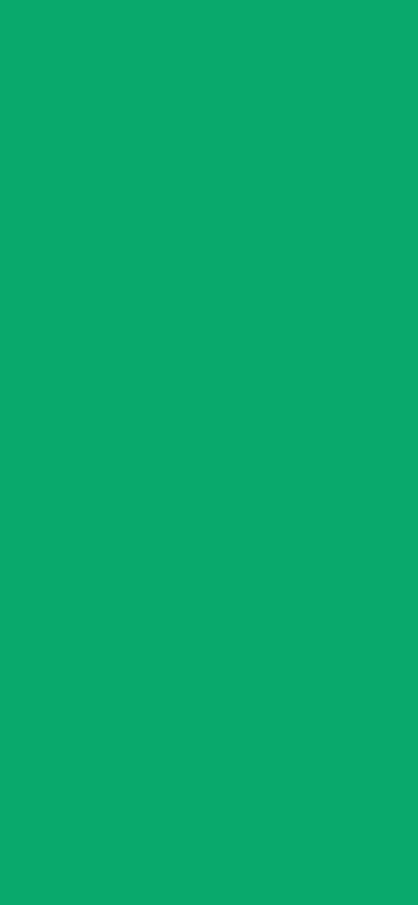 #09A96C color image