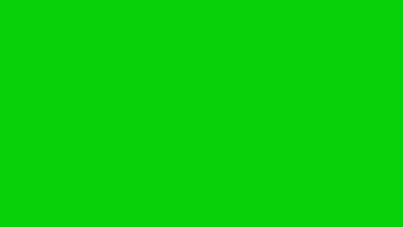 #09D109 color image