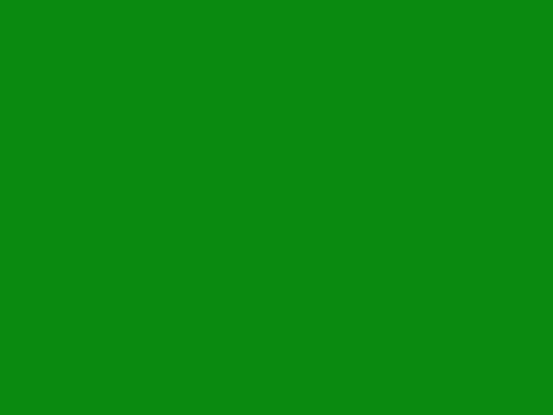 #0A8A10 color image