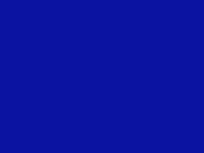 #0B13A1 color image