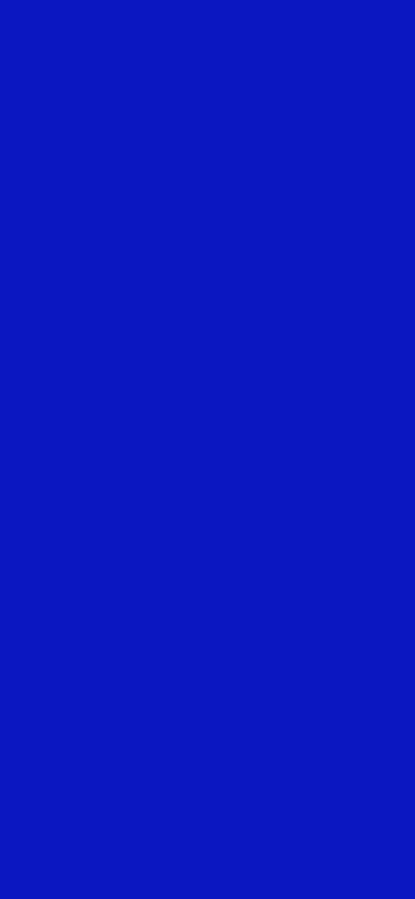 #0B17C1 color image