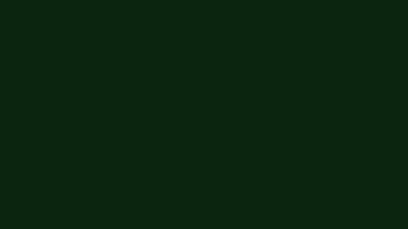 #0B250F color image