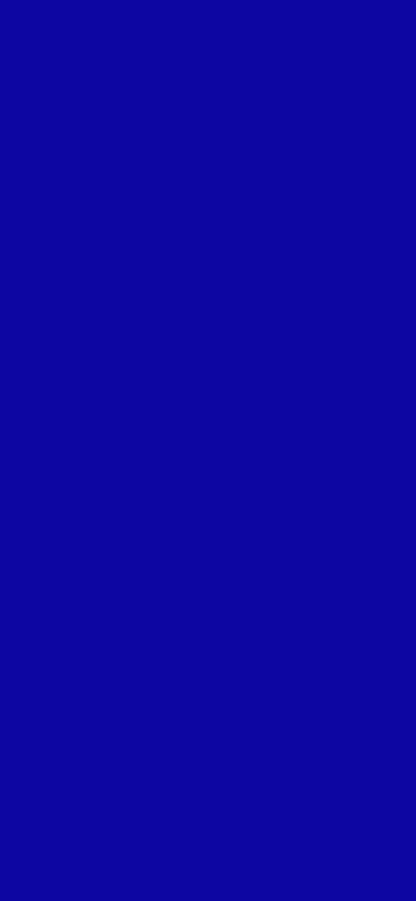 #0C05A1 color image