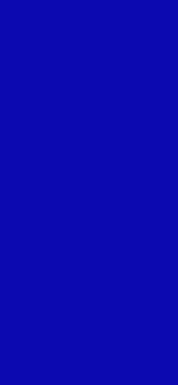 #0C09B1 color image