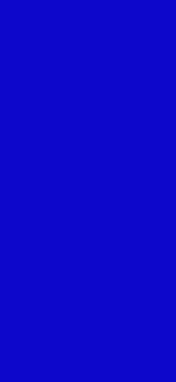 #0D06CB color image