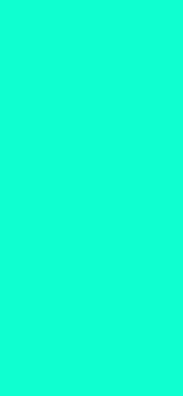 #0DFFCD color image