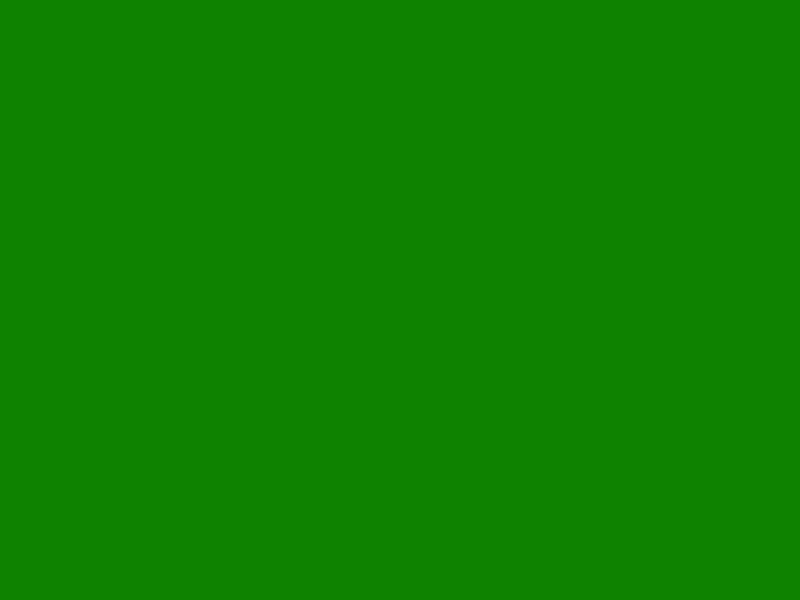 #0E8200 color image