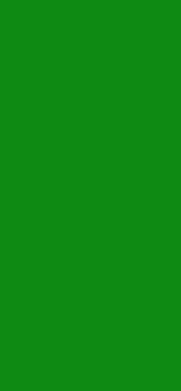 #0E8A13 color image