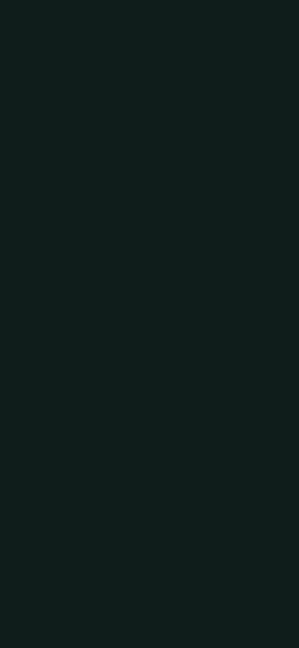 #0F1D1B color image