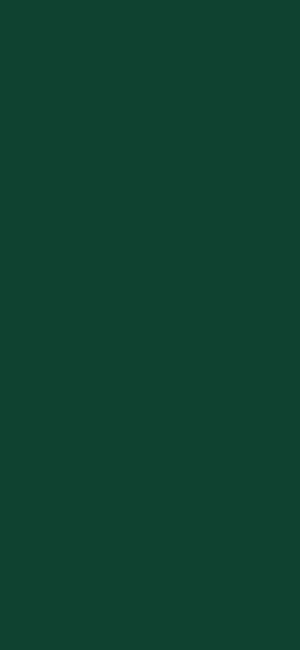 #0F4230 color image