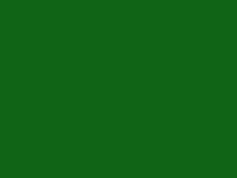 #0F6616 color image