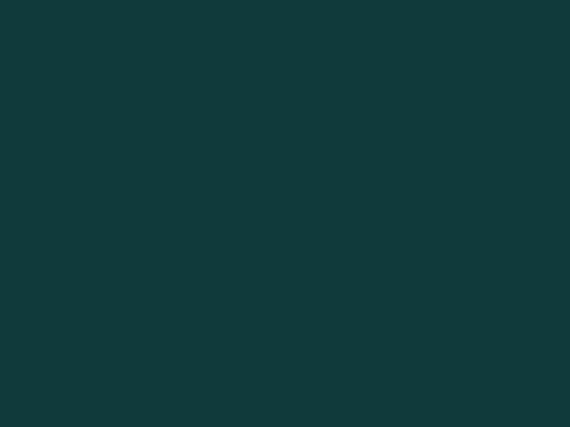 #103A3B color image