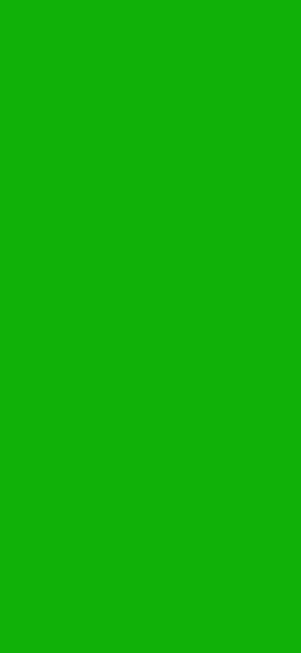 #10B108 color image