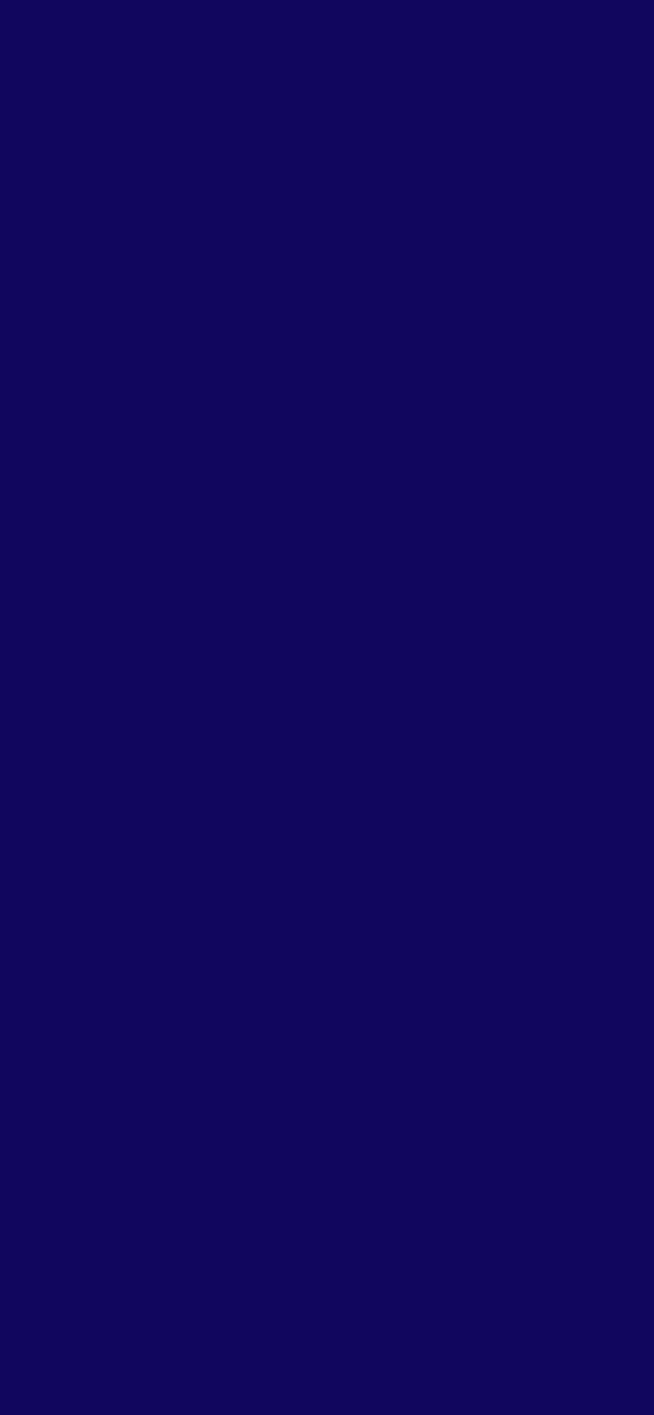 #11065E color image